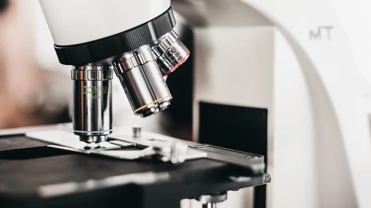 Biologisches Altern beschleunigt sich in jungen Generationen und erhöht das Krebsrisiko