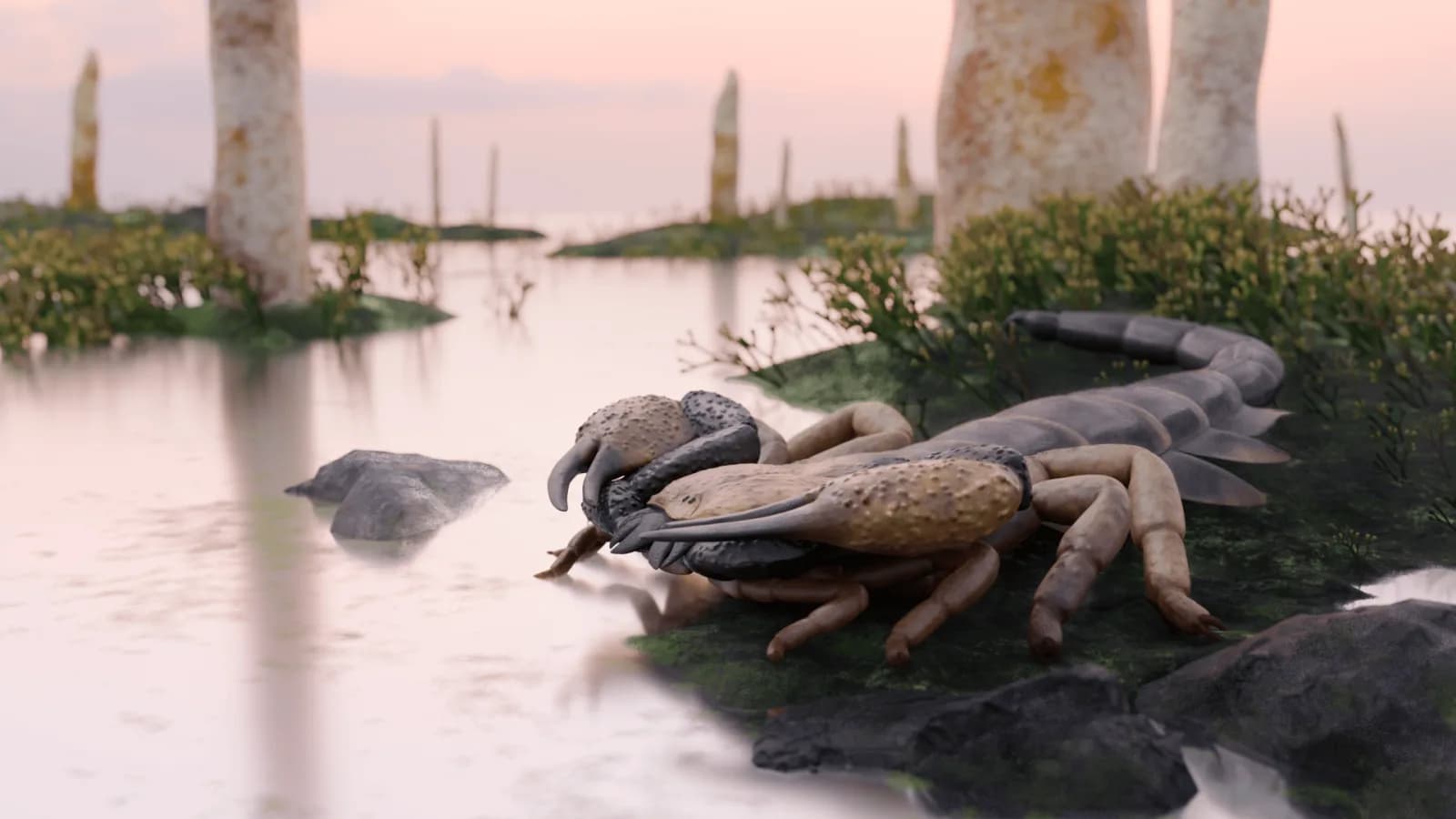 Weltgrößte Skorpionart identifiziert: Vor 415 Millionen Jahren auf der Erde unterwegs