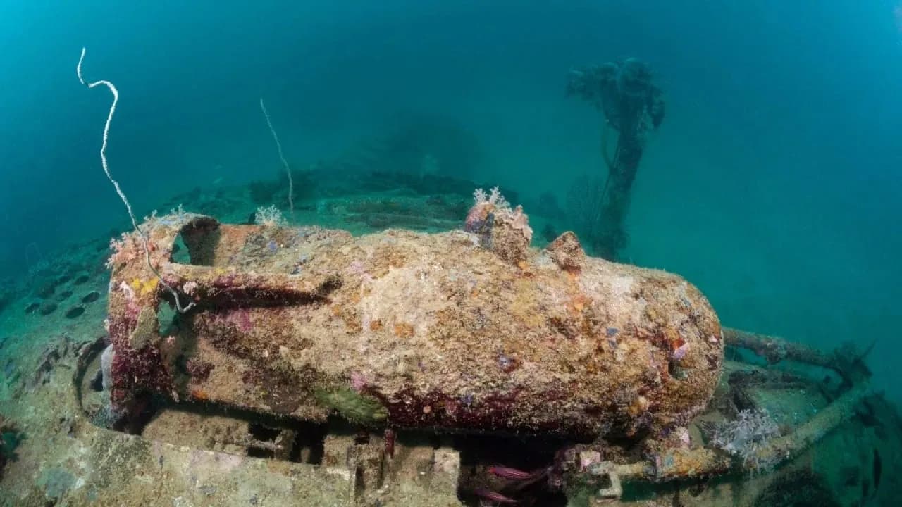 Künstliche Intelligenz und NASA-Technologie finden unter Wasser nicht mehr gezündete Bomben