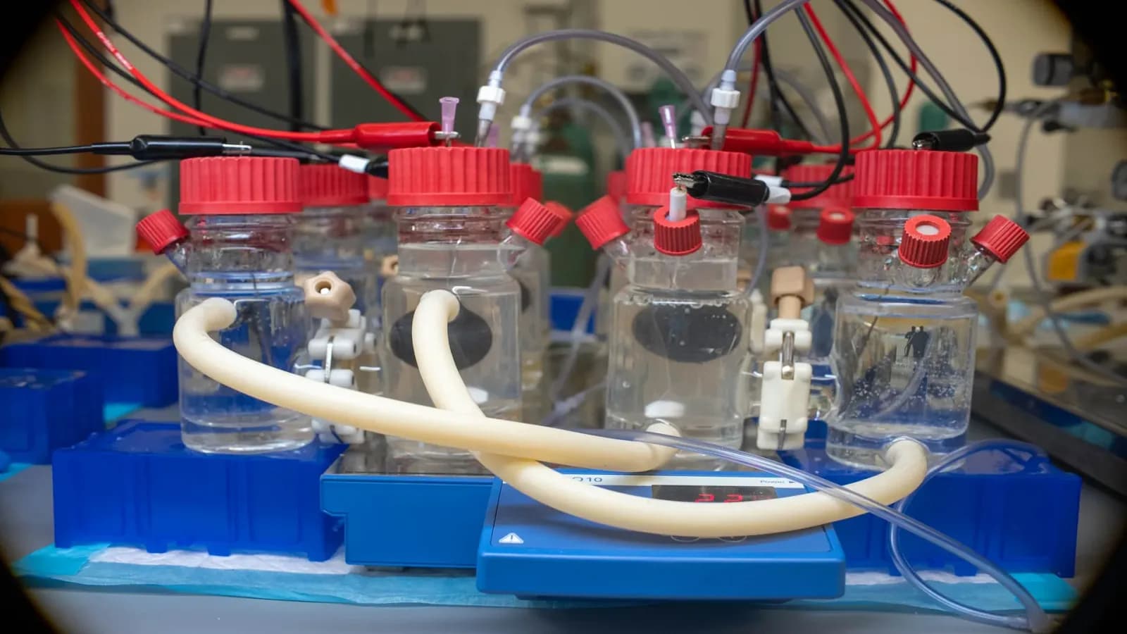 Neuer bioelektronischer Sensor nutzt Bakterien zur schnellen Toxindetektion