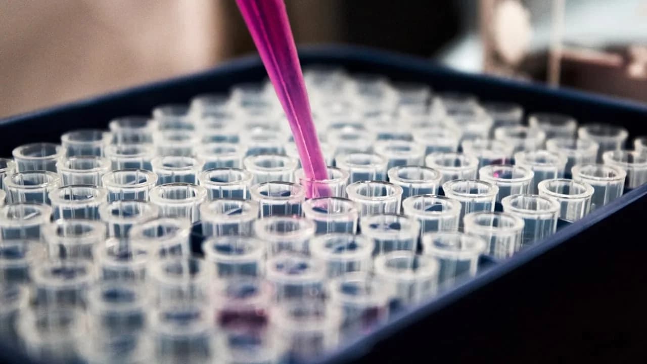 GDF15-Protein signalisiert Demenzrisiko bereits vor Jahrzehnten