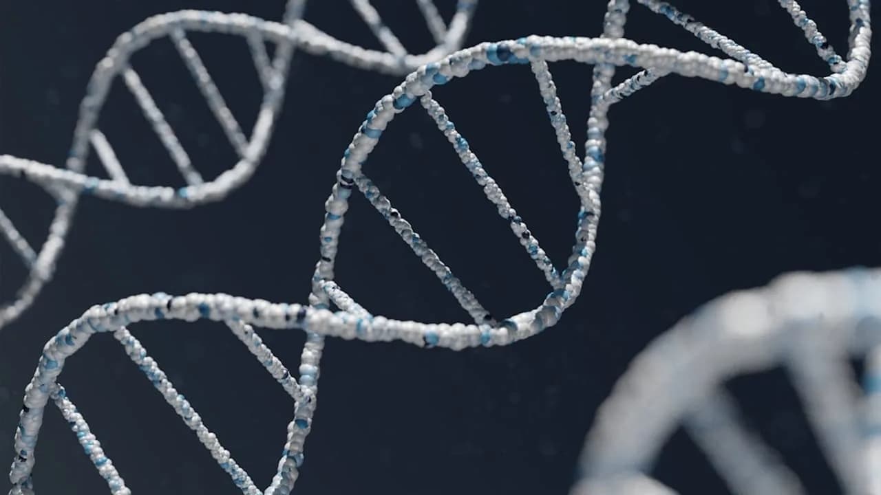 CRISPR-Technologie ermöglicht mit einer einzigen Dosis ein Jahr lang anhaltenden Erfolg bei der Behandlung von hohem Cholesterin.