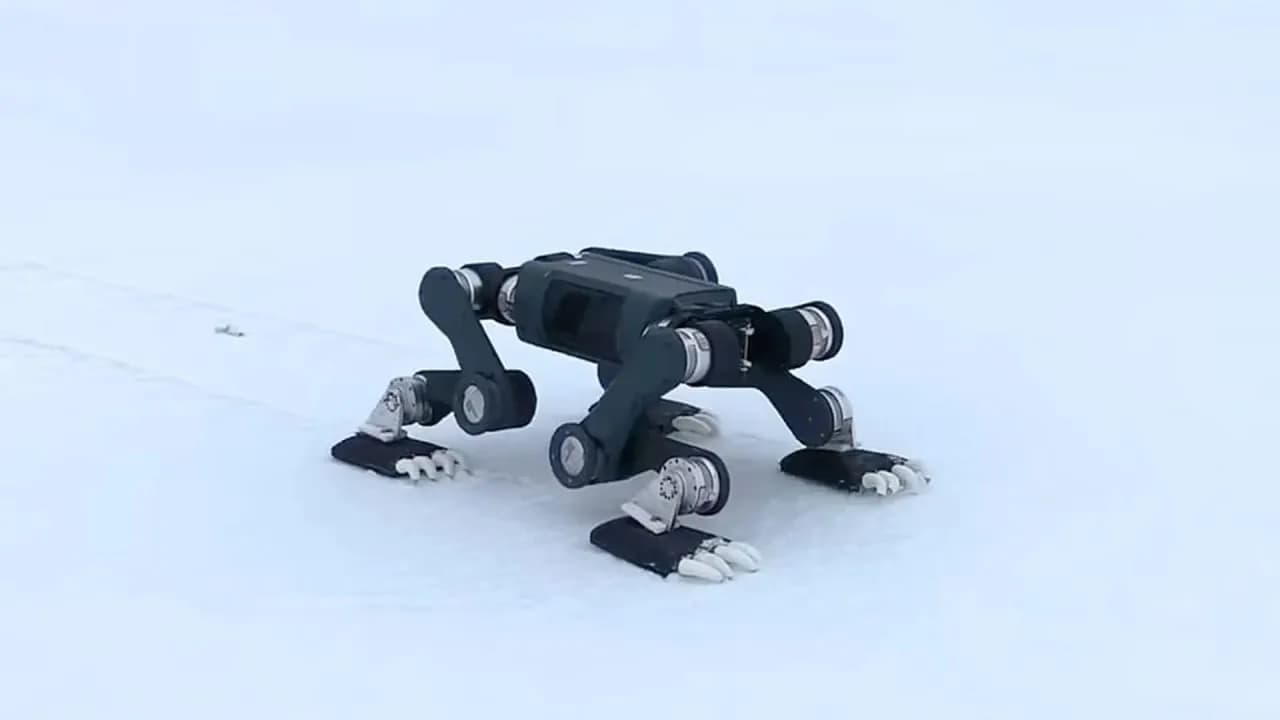 Lynx S10: Der erste vierbeinige Roboter, der die Polkappen erreicht