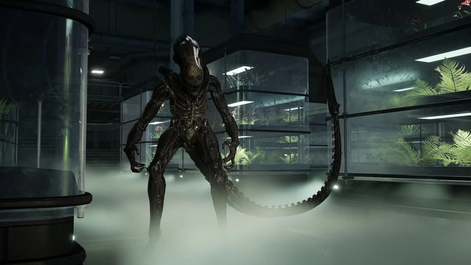 Cold Iron Studios bestätigt Aliens: Fireteam Elite 2 nach jahrelangem Leak und verspricht Xenomorph-Kampf im Sommer 2026