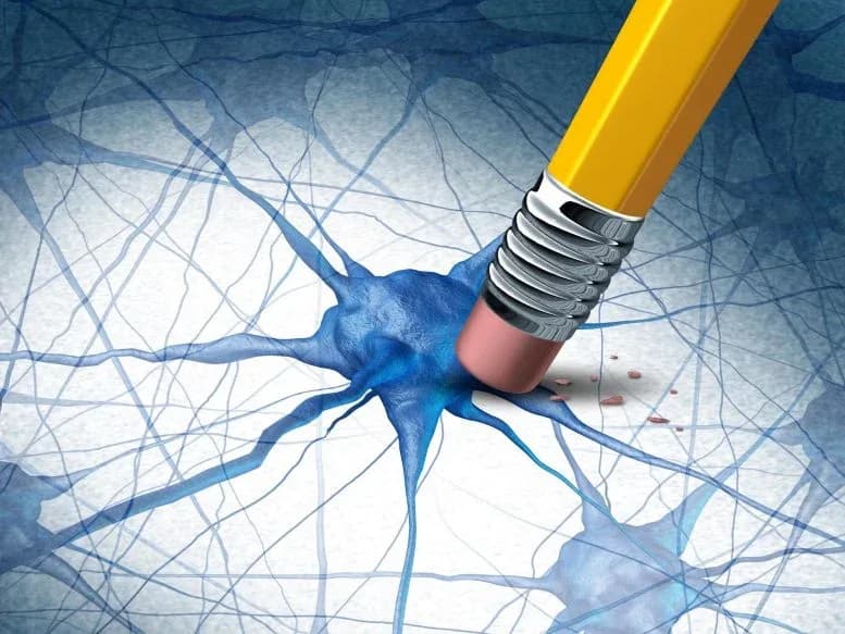 Wissenschaftler identifizieren einfaches Nahrungsergänzungsmittel, das Alzheimer-Schäden deutlich mindert