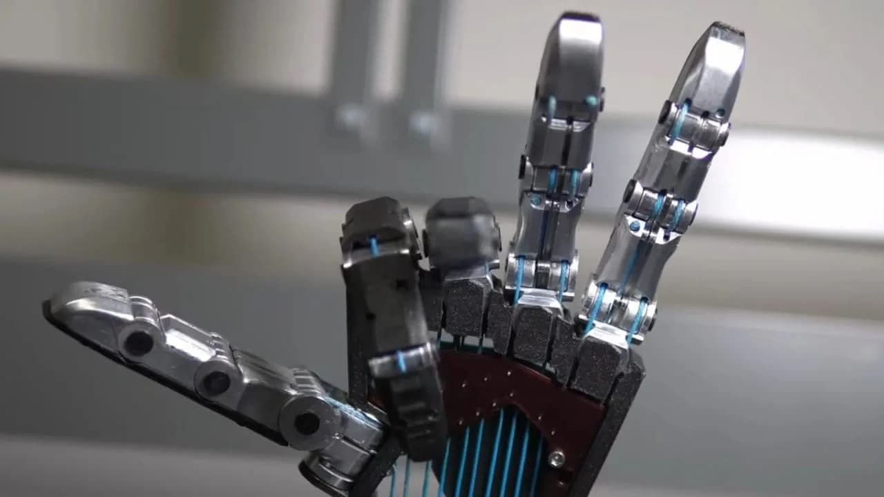 Forschungseinrichtung entwickelt robotischen Arm mit Seilzugantrieb, der einen Baseball in der Luft fängt