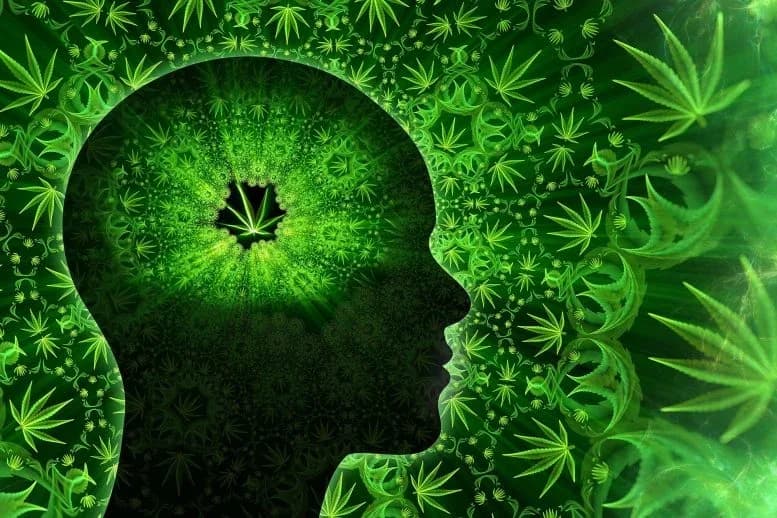 Cannabis löst Erinnerungen an nie stattgefundene Ereignisse aus