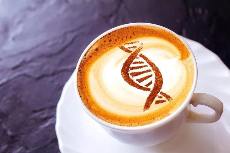 New Research Reveals That Your Morning Coffee Activates an Ancient Longevity Switch
