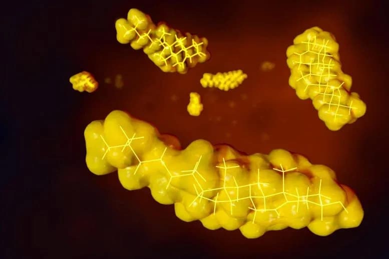 Gefährliche Cholesterinwerte trotz normaler Laborwerte