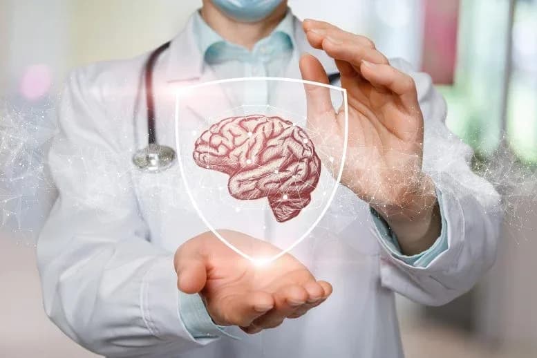 Wissenschaftler entdecken unreife Gehirnzellen, die Alzheimer möglicherweise stoppen
