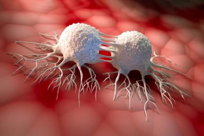Krebs Geheimwaffe? Wissenschaftler enthüllen, wie Tumore lernen, Therapien zu überleben