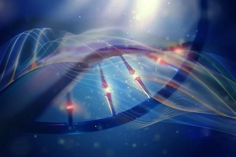Yale-Entdeckung widerlegt lang gehegte Theorie vom evolutionären Sackgassen