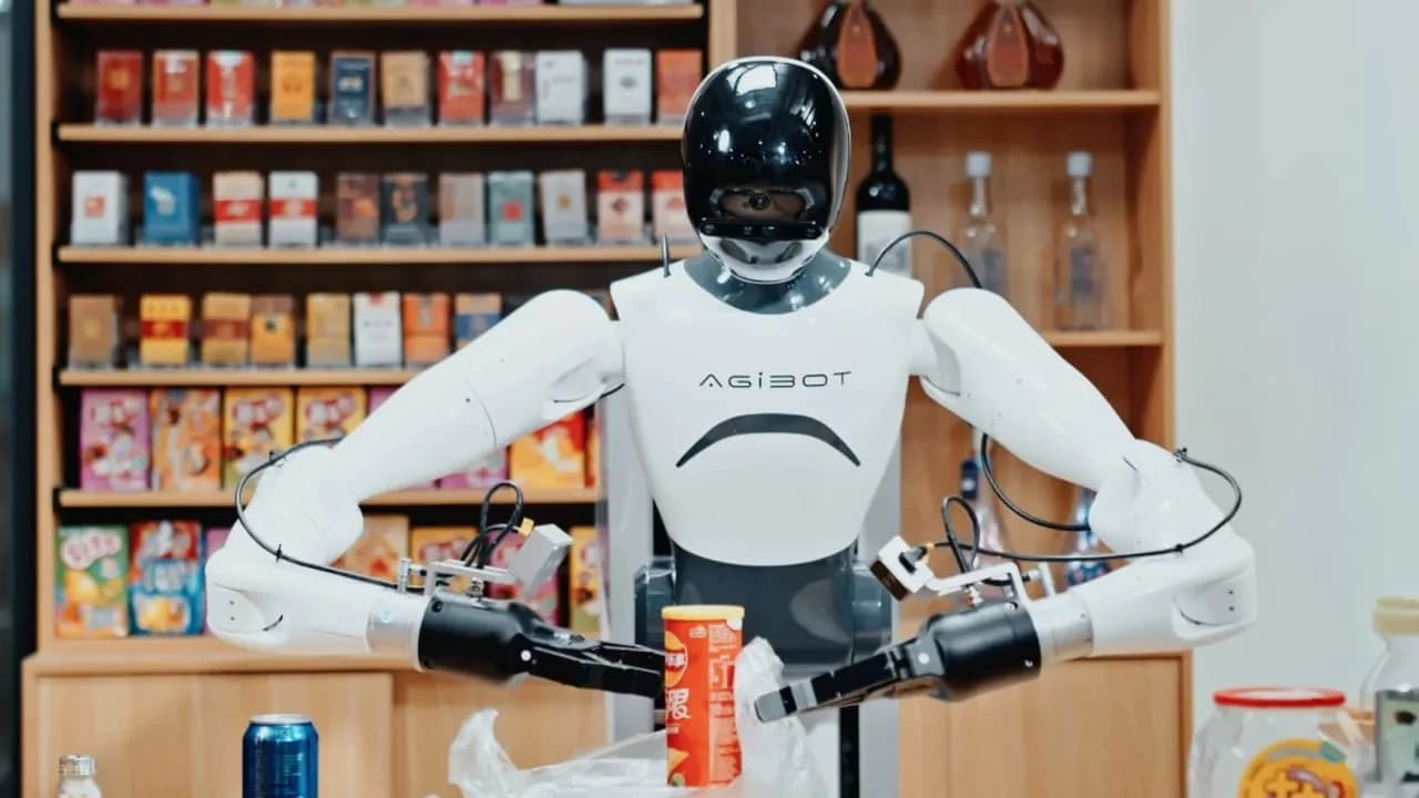Verbot der Einfuhr von menschenähnlichen Robotern und Leistungswandlern aus China in die USA