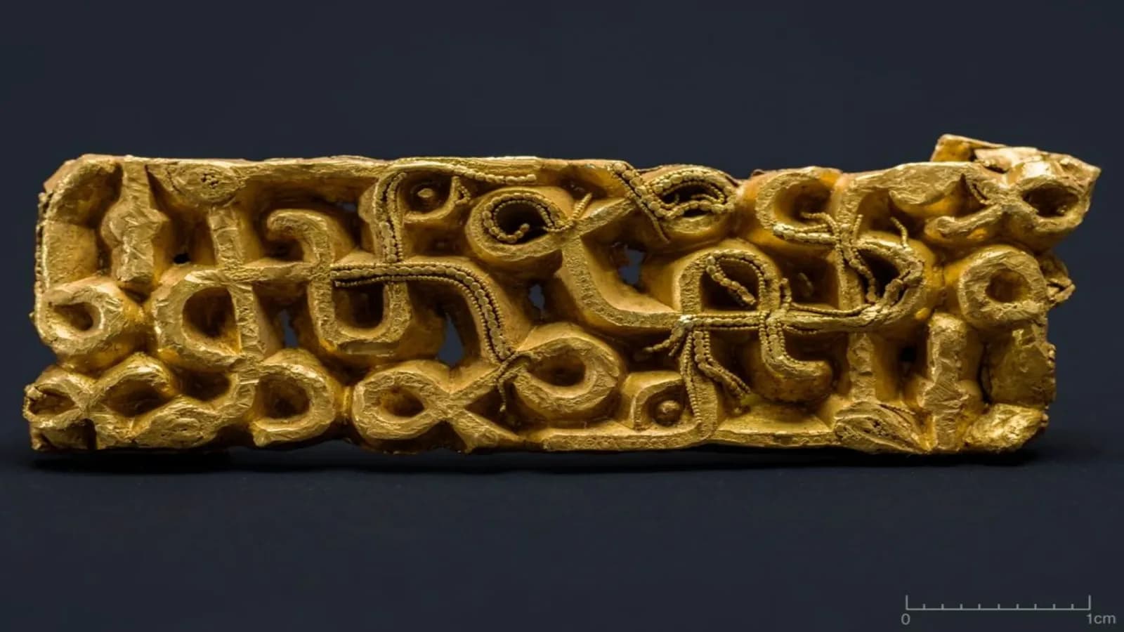 1.500 Jahre alter Krieger-Schnalle unter umgestürztem Baum entdeckt