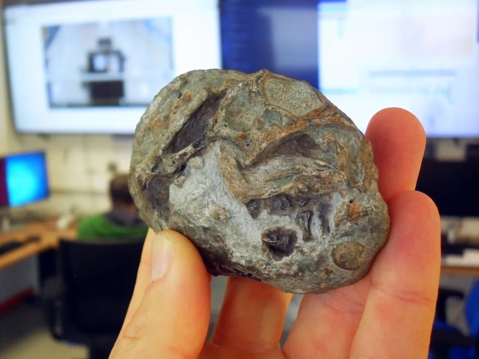 250 Millionen Jahre alt: Ei enthüllt Schlüssel zur Überlebensstrategie früher Säugetiere