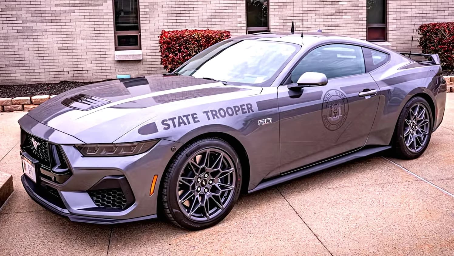 New Yorks Pursuit Mustangs sind 30 % günstiger als Patrouillen-SUVs | Carscoops