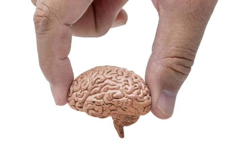 Forscher identifizieren die häufigste bisher entdeckte rezessive neuroentwicklungsbedingte Störung