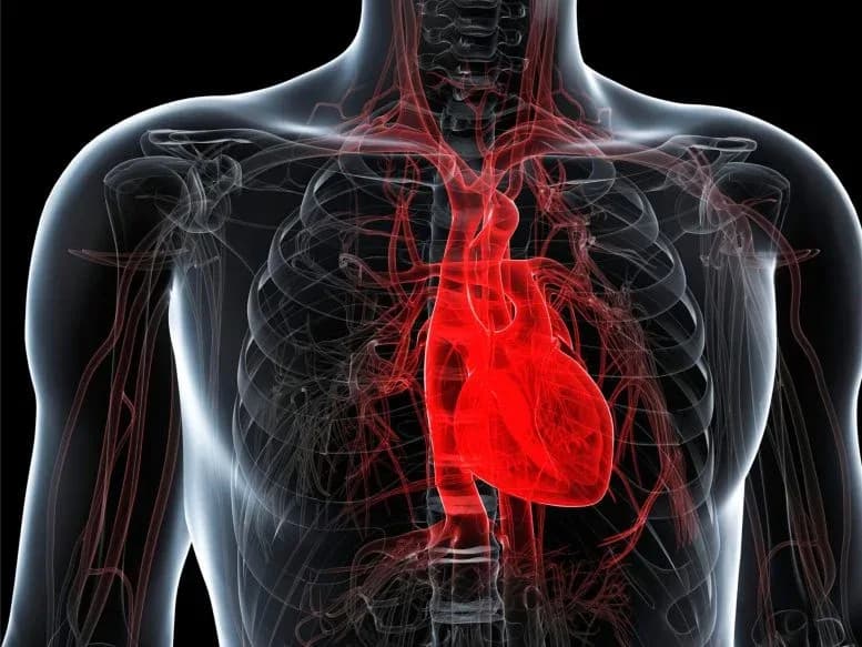 Beliebte Gewichtsabnehmmedikamente senken das Risiko für Herzinfarkt und Schlaganfall