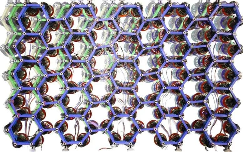 Wissenschaftler erschaffen lebendige Materialien, die eigenständig kriechen, laufen und graben