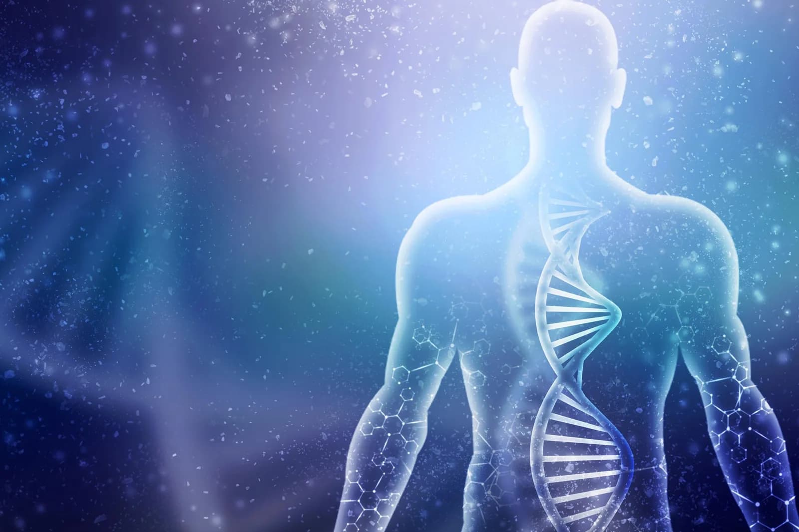 Können Menschen Gliedmaßen nachwachsen? Neue Studie enthüllt vielversprechenden genetischen Weg