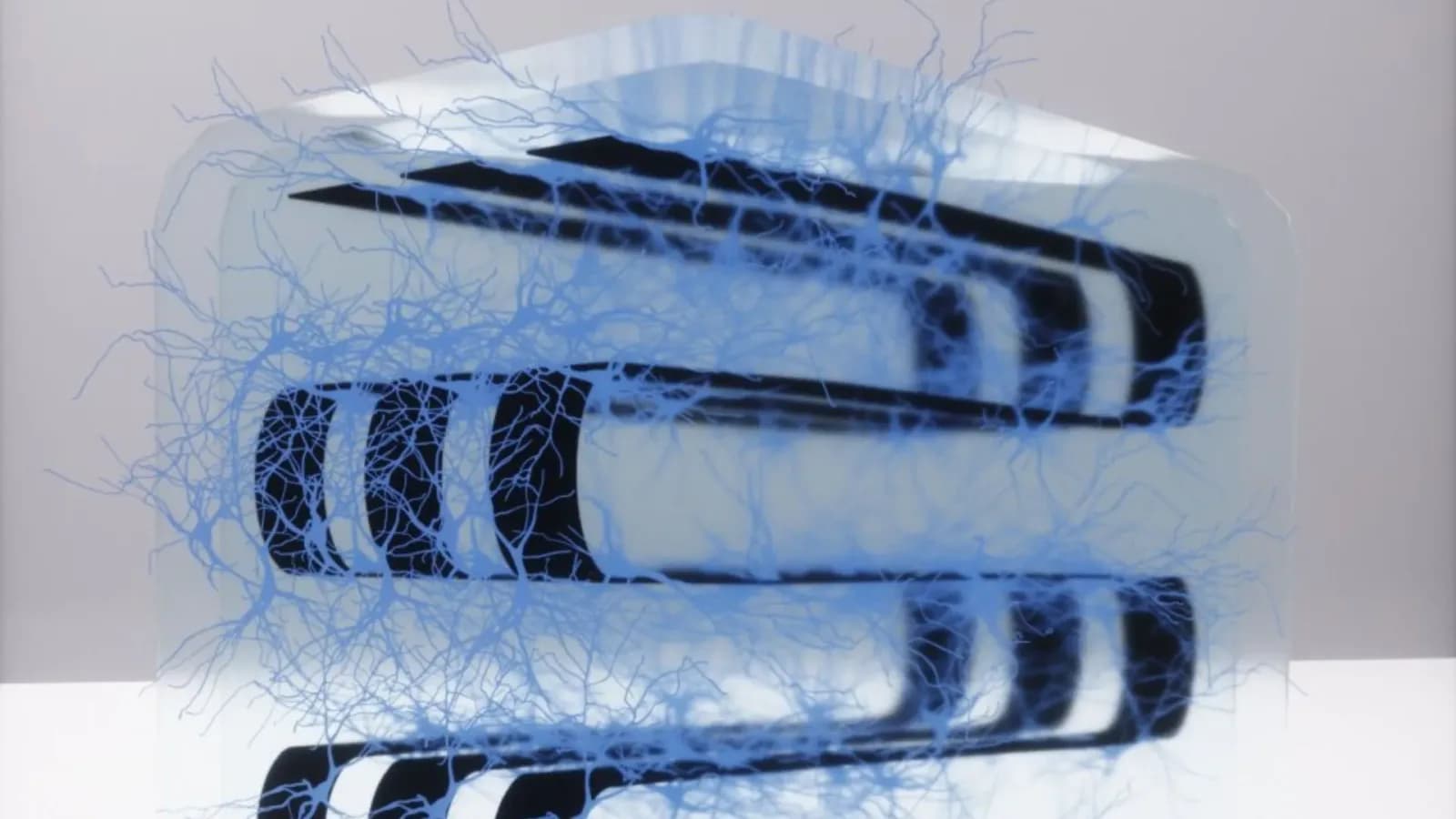 US-Team kombiniert Gehirnzellen und Elektronik in 3D-Gerät für die Datenverarbeitung