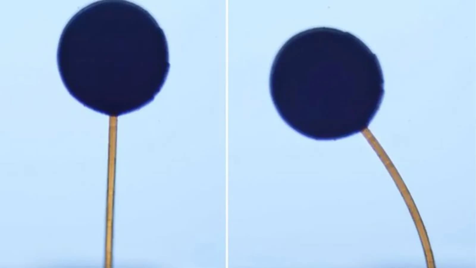 MITs neues Gel verwandelt sich in mikroskopisch kleine, magnetisch steuerbare Roboter