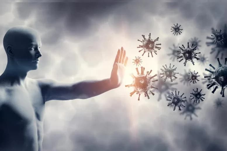 Geschlechtsunterschiede im Alterungsprozess des Immunsystems: Was Wissenschaftler herausgefunden haben