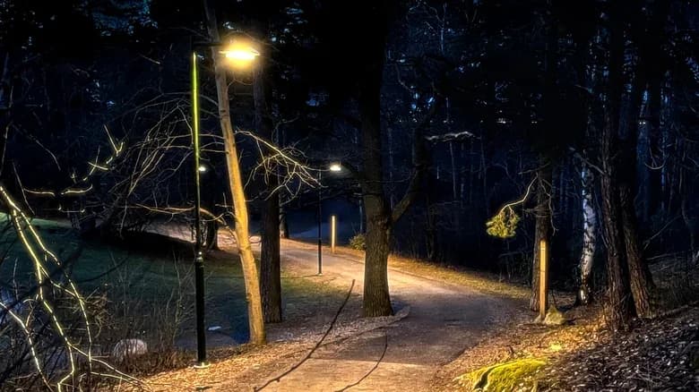 Stockholms zweifarbige Straßenlaternen: Mehr als nur bessere Sichtbarkeit