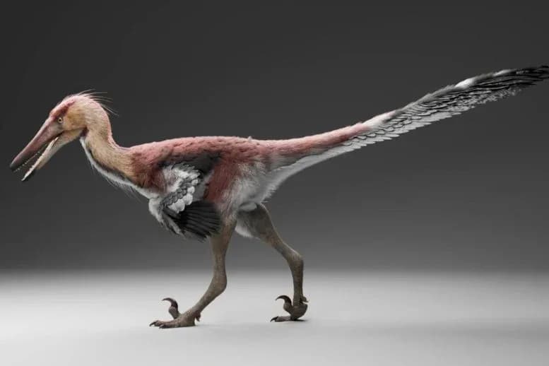Dinosaur mit Raptor-Klauen jagt wie eine Reiher