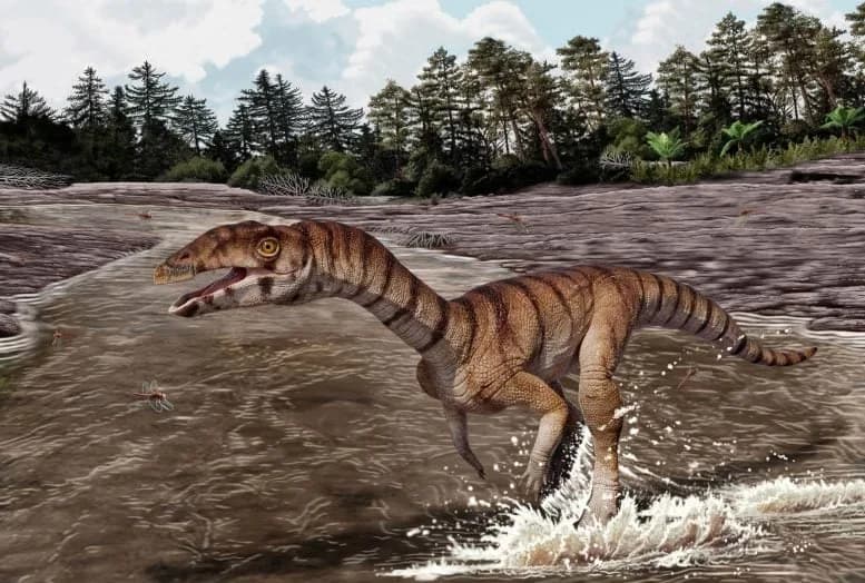 Fossile Entdeckung: Seltsamer Krokodil-Verwandter bewegte sich wie ein Dinosaurier