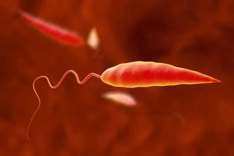 Forscher entdecken: Tödliche Parasiten tauschen heimlich DNA aus