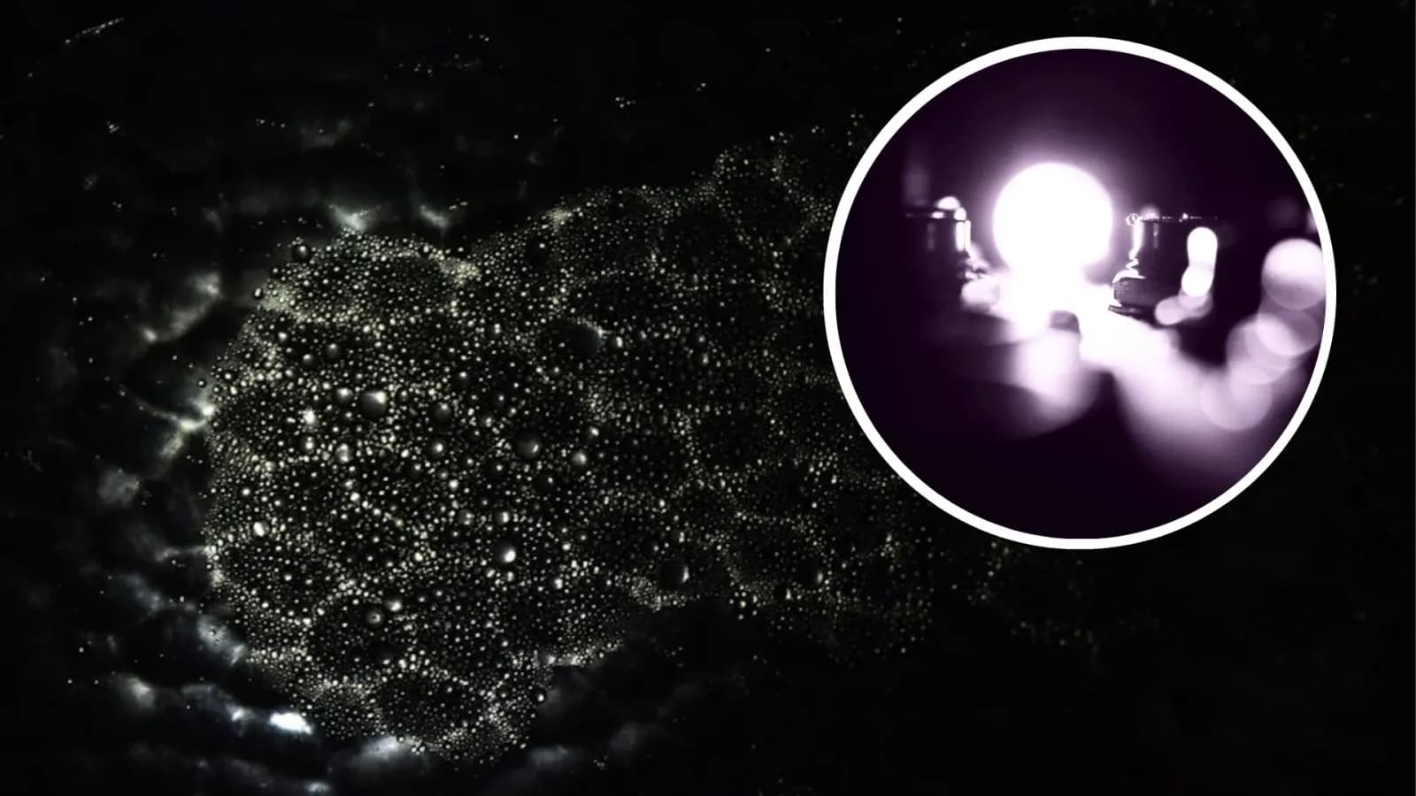 Vorhersage für 50 Jahre bestätigt: Dunkelheit schneller als Licht beobachtet