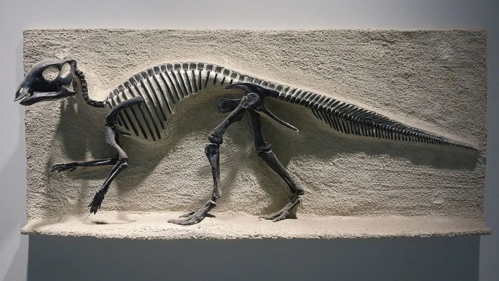 Dinosaurier ernhrten ihre Jungen wie Vgel: lteste Belege gefunden