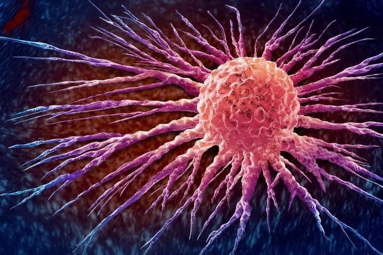 Wissenschaftler nutzen Krebs-eigene Bakterien in bahnbrechender Therapie