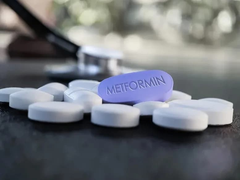 Nach 60 Jahren: Wissenschaftler entdecken unerwartete Gehirnwirkungen des beliebten Diabetes-Medikaments Metformin