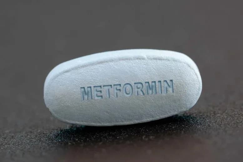 Wirkmechanismus von Metformin neu aufgerollt: Wirkungsweise anders als angenommen