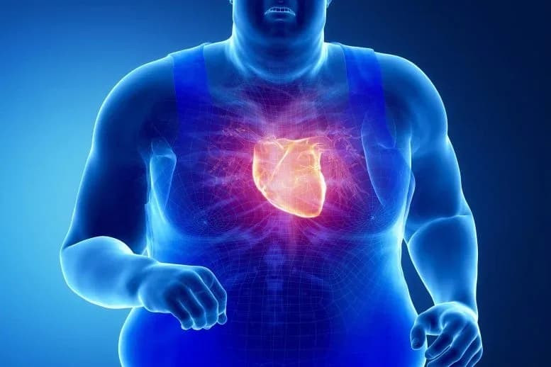 Wissenschaftler: Für große Herzgesundheit benötigen die meisten Erwachsenen viermal mehr Bewegung als empfohlen.