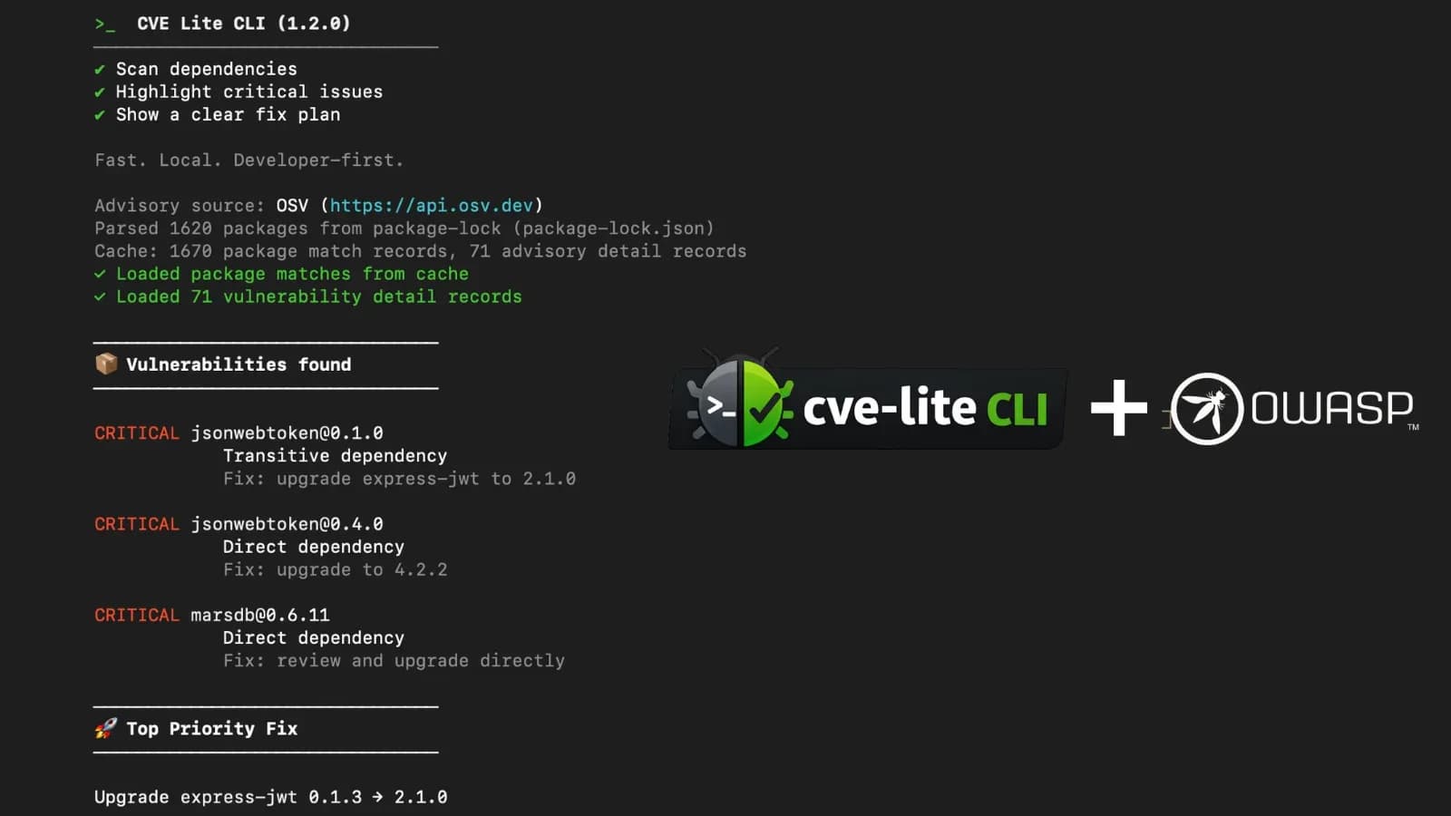 OWASP CVE Lite CLI: Neues Tool zum Scannen von Schwachstellen in Projekten
