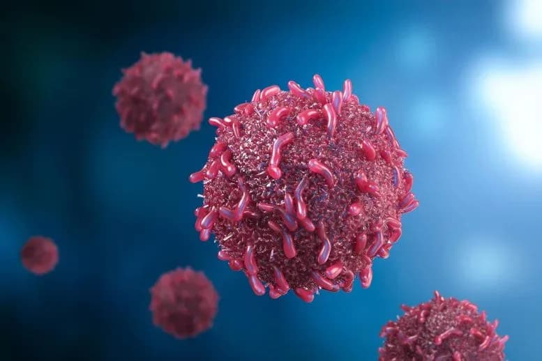 Wissenschaftler finden neuen Ansatz, um medikamentenresistente Krebserkrankungen wieder behandelbar zu machen