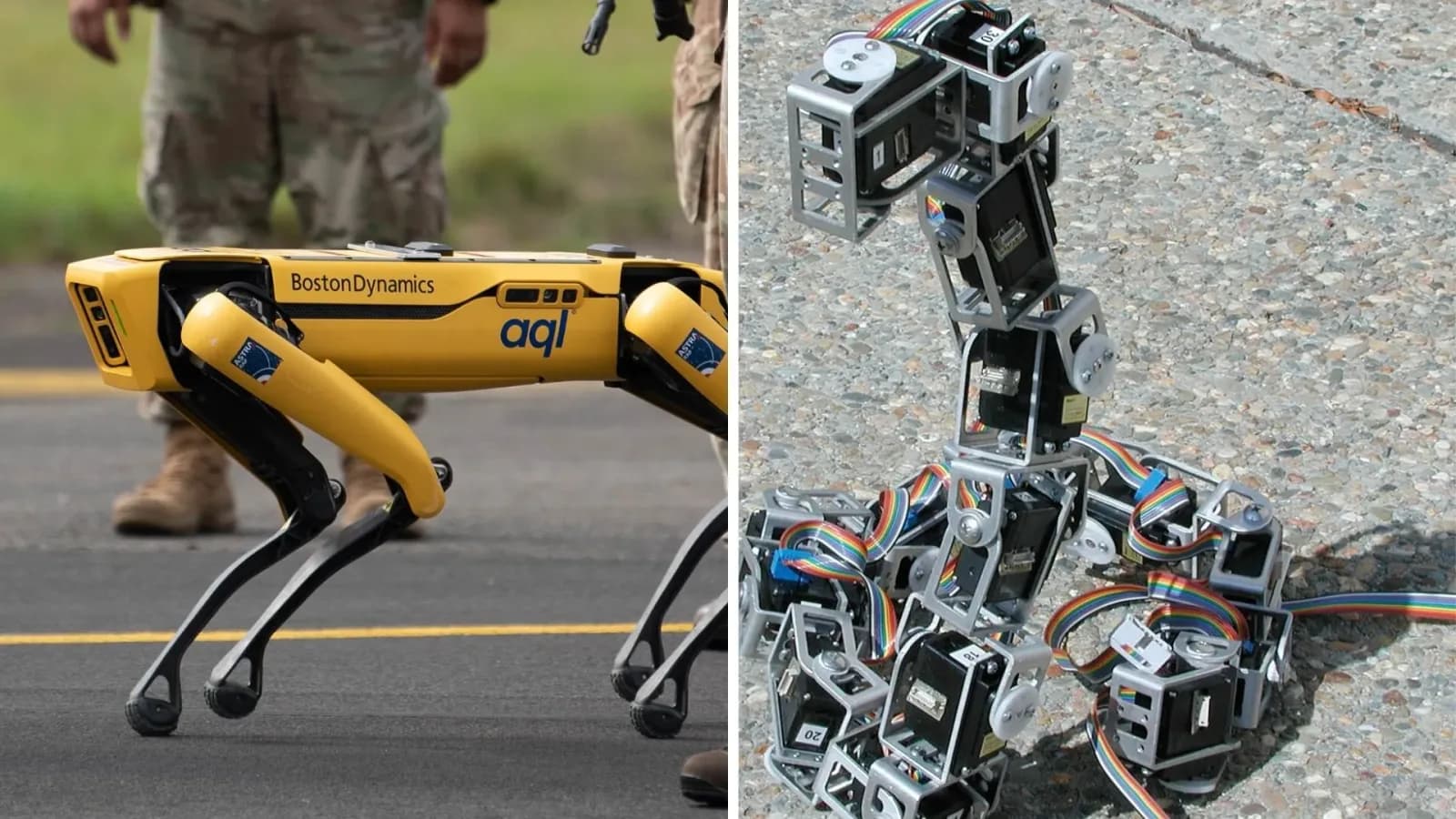 Sieben tierinspirierte Roboter lösen reale ingenieurtechnische Herausforderungen