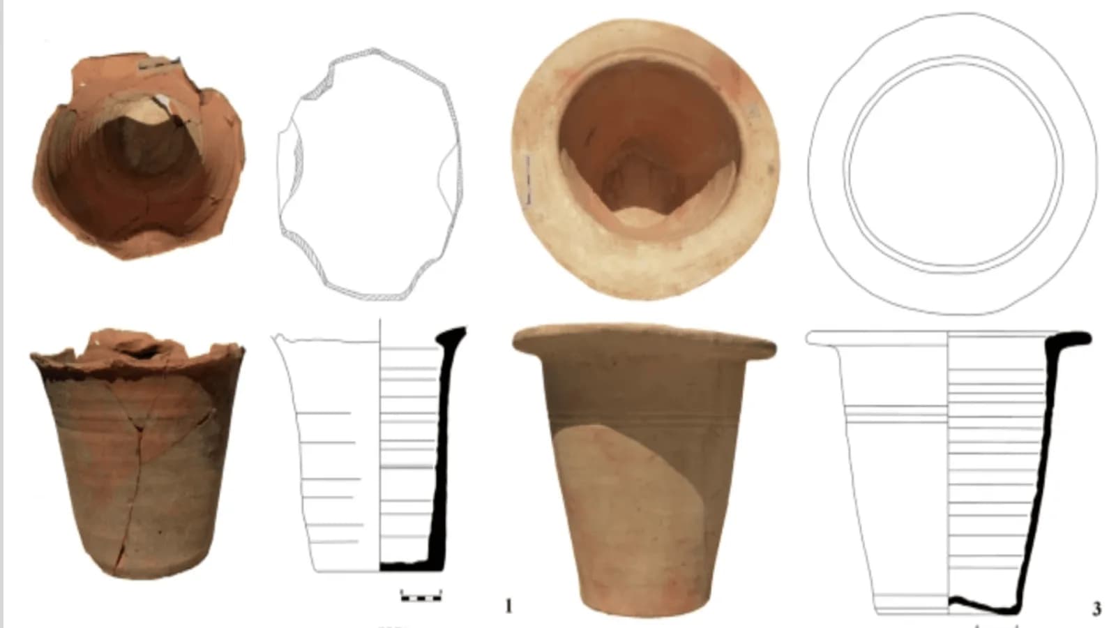 Parasiten in 1.800 Jahre alten Kot beweisen, was Römer in Bulgarien plagten