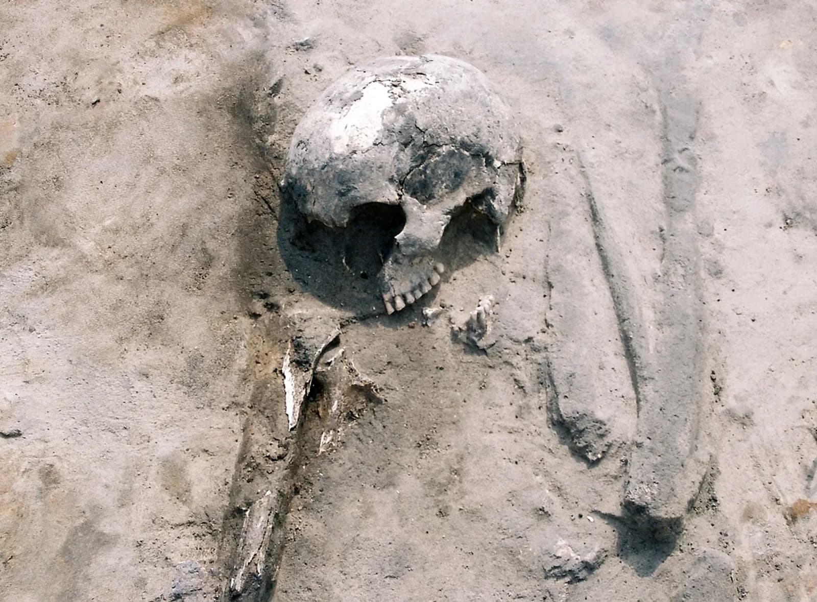 Was aßen prähistorische Europäer? Wissenschaftler enthüllen überraschende Antworten