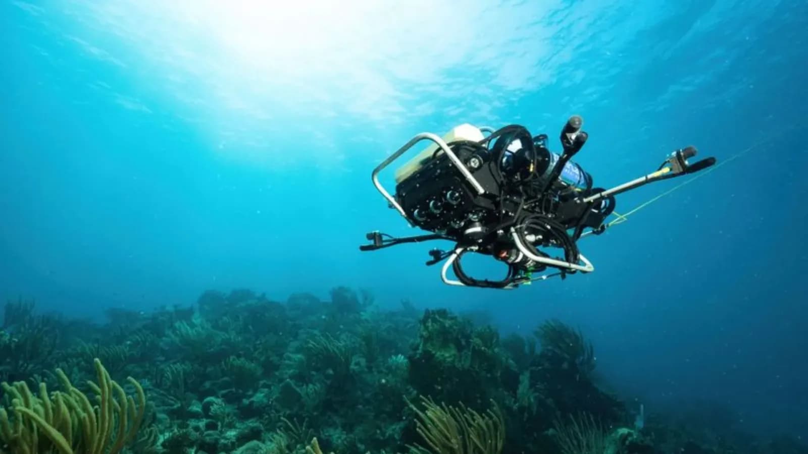 Autonomer Riffrobot kartiert versteckte marine Hotspots durch Analyse von Fischrufen
