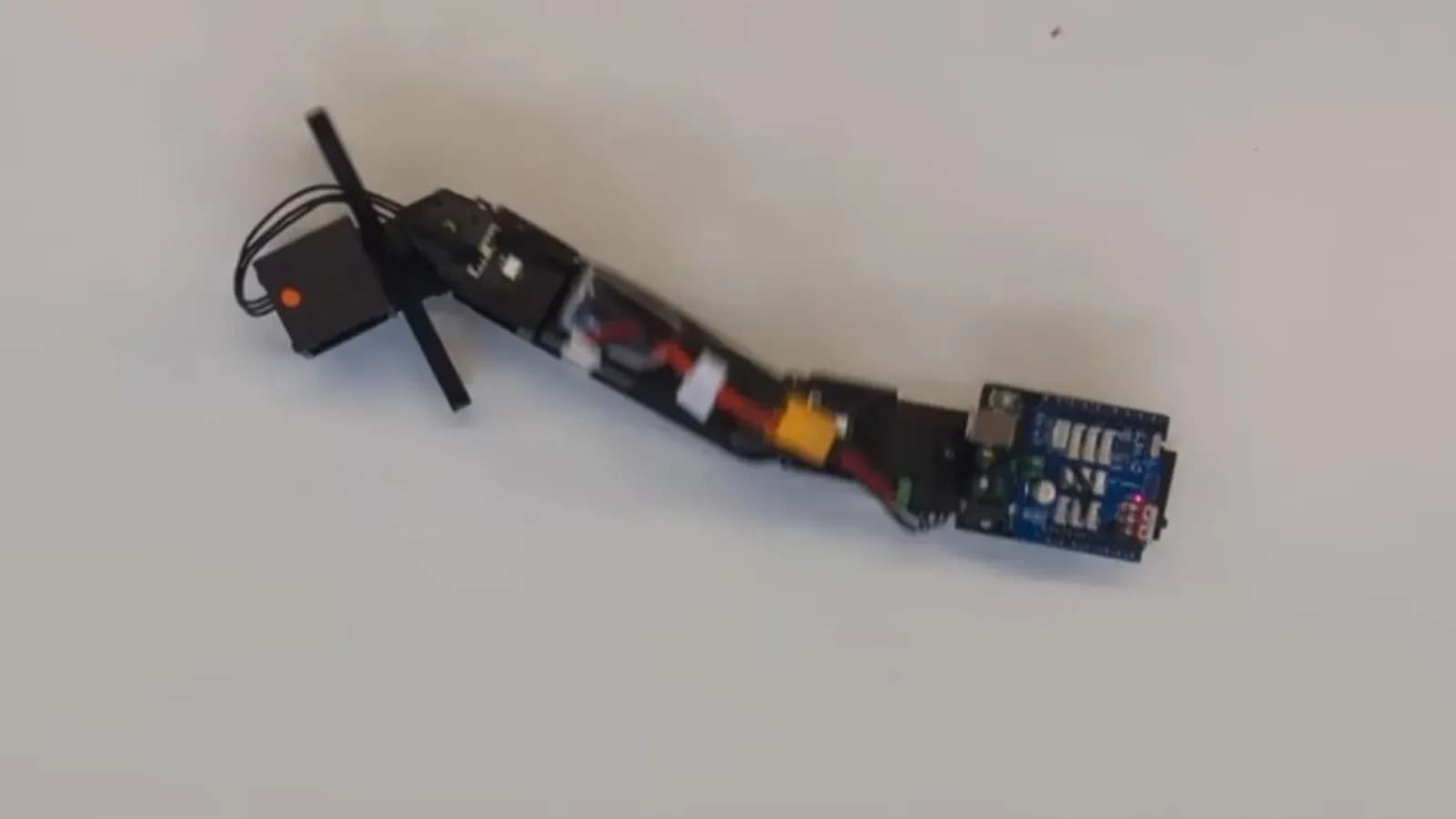 Cambridge-Roboter entlarvt evolutionären Forschungsfrage