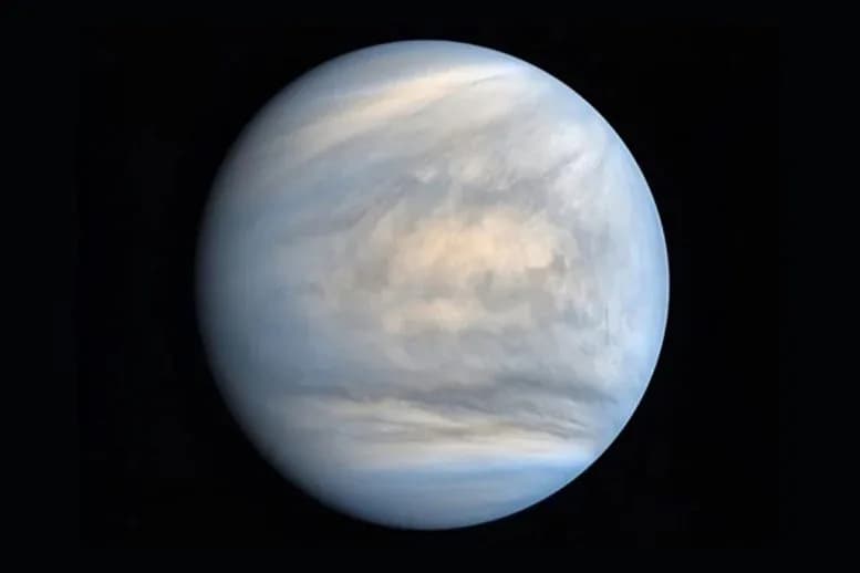 Neue Studie: Erde könnte Venus mit Leben besamen