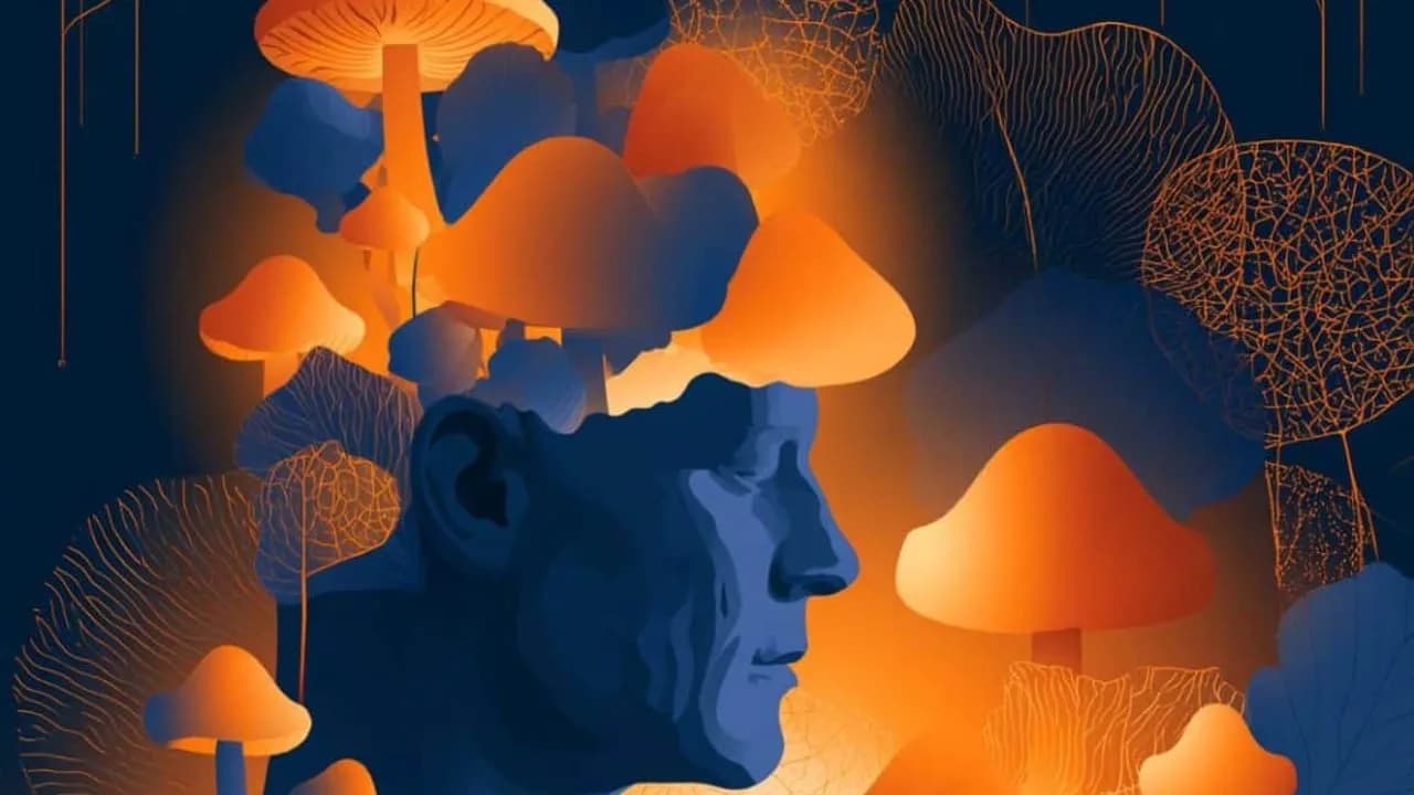 Alzheimer-Patient mit schwerer Demenz zeigt vorübergehende Verbesserung von Gedächtnis und Sprachfähigkeit nach Psilocybin-Gabe