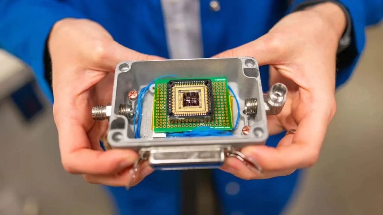 UC-Berkeley-Ingenieure entwickeln elektronische Nase zur Verhinderung von Lebensmittelvergiftungen