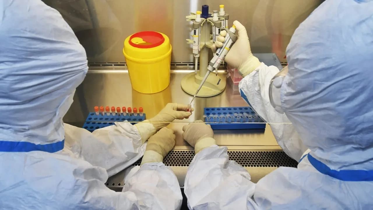 Künstliche Intelligenz entwickelt voll funktionsfähige synthetische Viren: Diskussionen zur Biogefahr nehmen zu