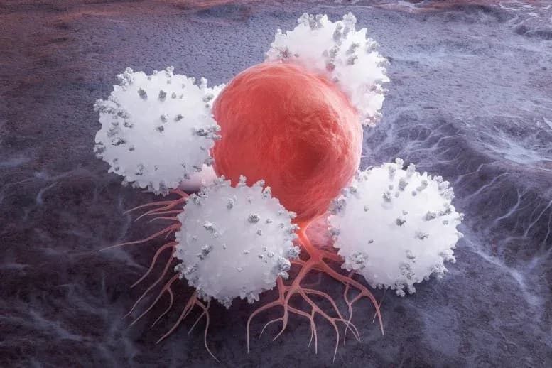 Wissenschaftler finden Weg, Immunzellen zu ernähren, ohne Krebs zu fördern
